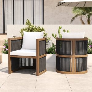 Wevara 2 Pieces Modern Aluminum & Ropes Outdoor Patio Dining Chair Set