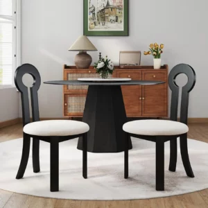 Modern Dining Chairs Set of 2
