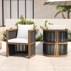 Wevara 2 Pieces Modern Aluminum & Ropes Outdoor Patio Dining Chair Set