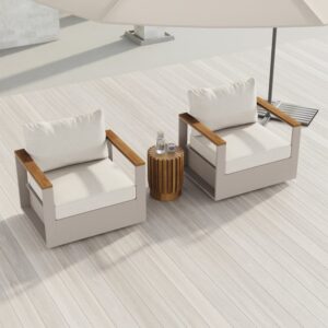 Tevara Outdoor Warm White Teak & Aluminum Swivel Chair with Cushion Set of 2